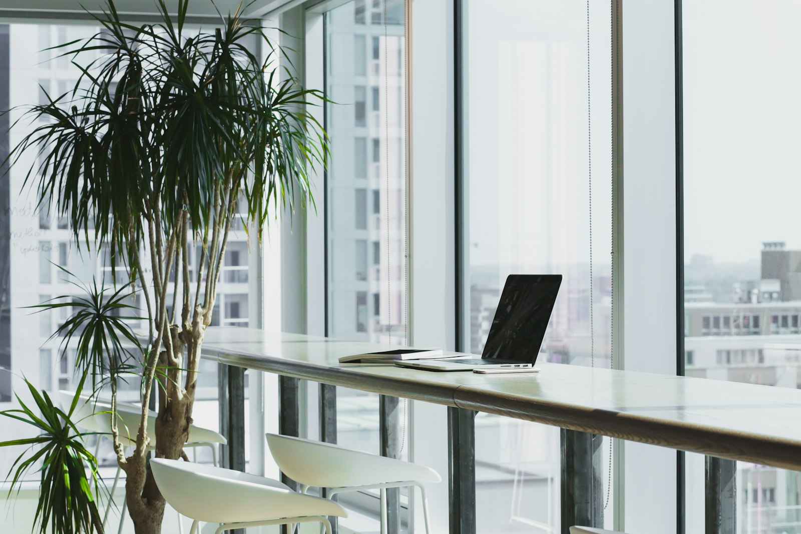 Helles Büro mit Pflanzen und großen Fenstern